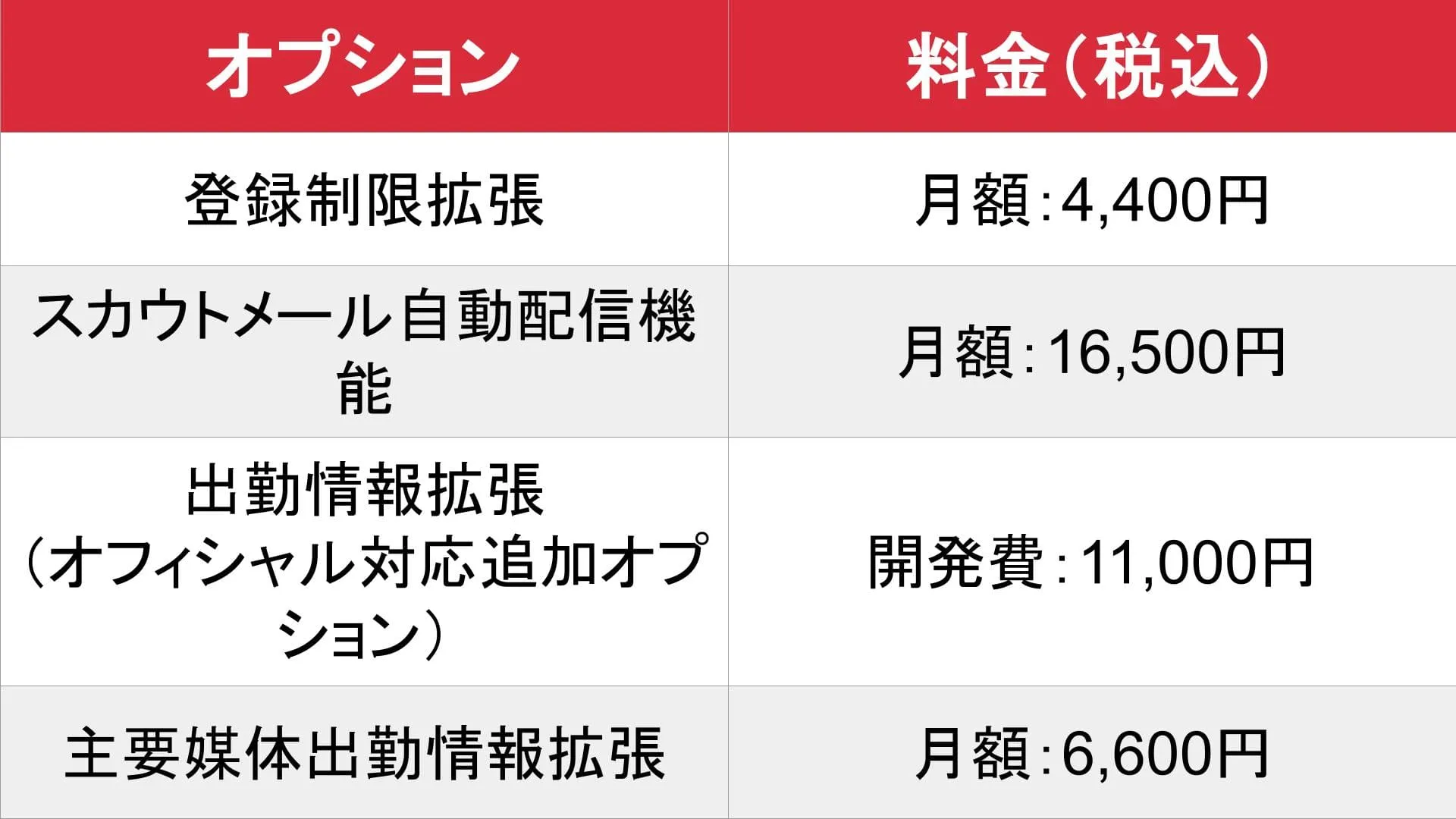 Mr.Venrey_オプション_料金表